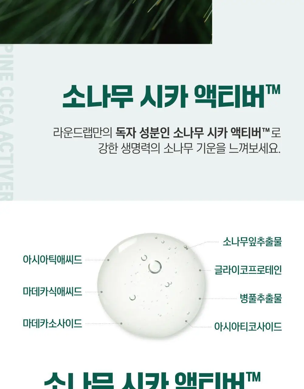 [더블기획] 라운드랩 소나무 진정 시카 앰플 30ml+30ml 상세페이지 19